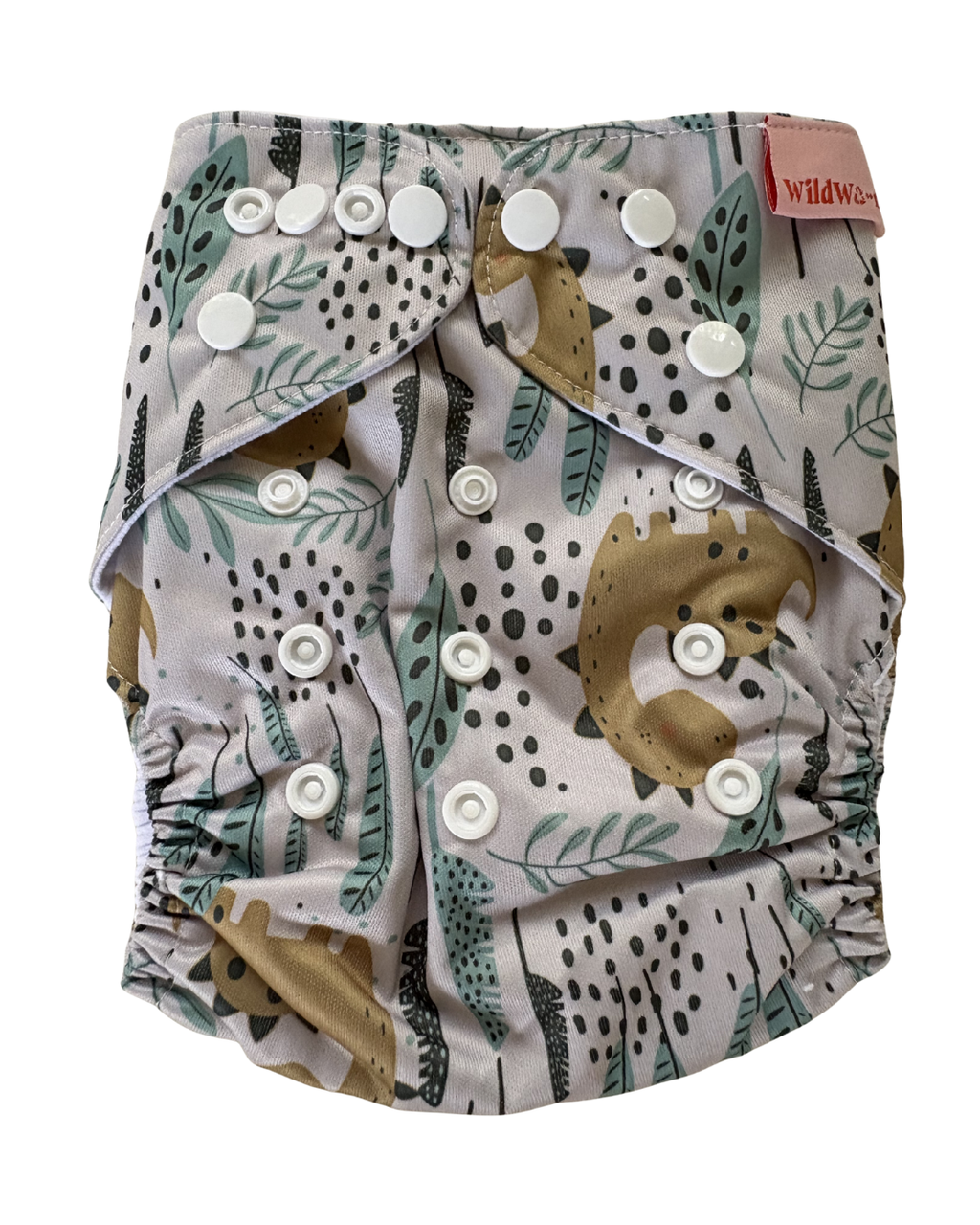 Dinosaur Adjustable Cloth Nappy